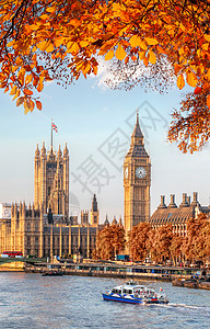 大班秋叶在英国伦敦图片