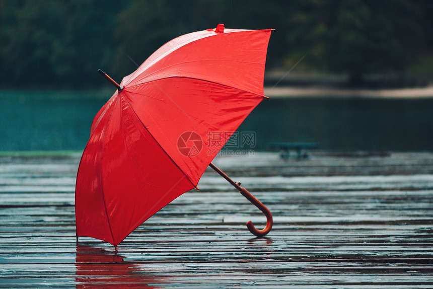 红伞在雨中私人帮凶被图片