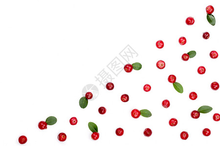 蔓越莓孤立在白色背景特写与副本空间为您的文本顶视图片