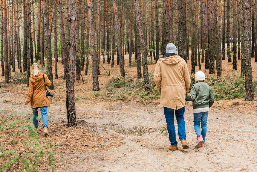 一家人一起走松林的背影图片