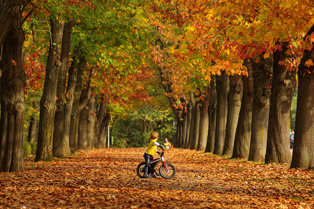 童年秋天在比奥菲儿小巷的自行车上玩耍图片