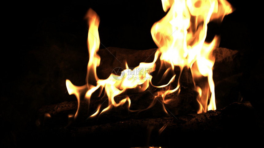 在火中烧柴夜间营火焰森林图片