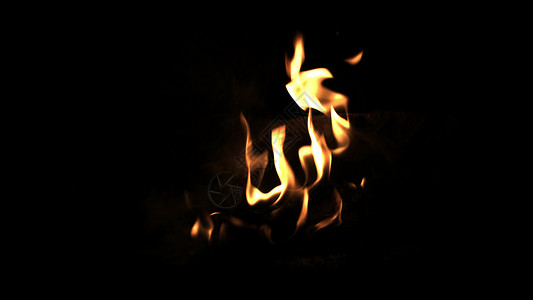 在火中烧柴夜间营火焰森林图片