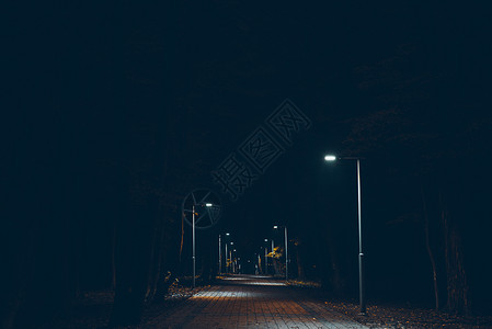 夜晚的城市公园路灯火通明图片