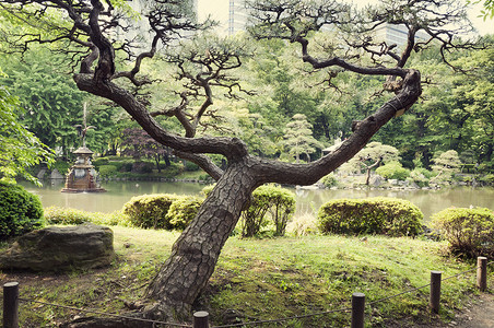 日本东京市公园日本图片