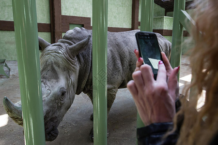 在乌克兰基辅地区的动物园12个月拍图片