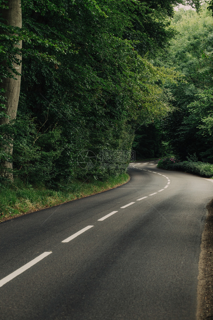 空旷的乡村柏油弯路穿过法国诺曼底地区的绿色森林自然乡村景观交通和图片
