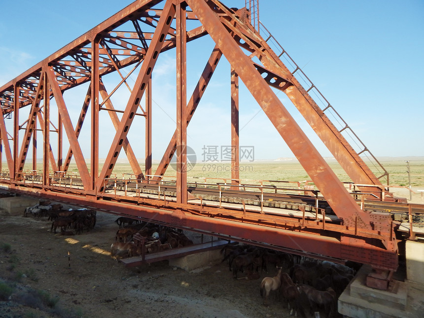 铁路桥下面的马匹铁路桥曼吉斯托地区图片