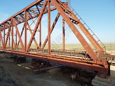 铁路桥下面的马匹铁路桥曼吉斯托地区图片