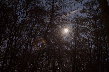 与星和月亮的夜空图片