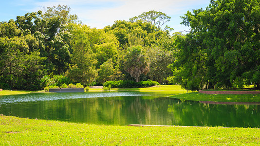 Fairchild热带植物园美国罗图片