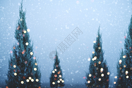圣诞树的模糊和浅褐色图片