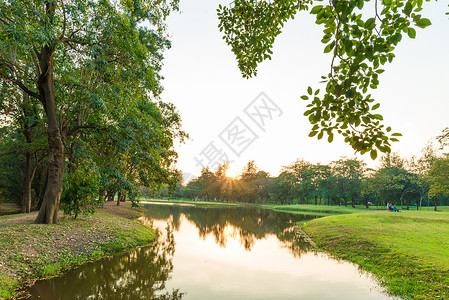 城市公园绿树叶与池塘日落场景图片