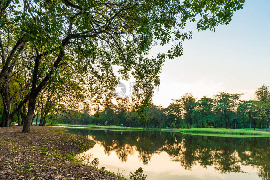 城市公园绿树叶与池塘日落场景图片