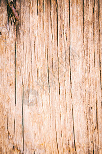 照片上的旧木门图片