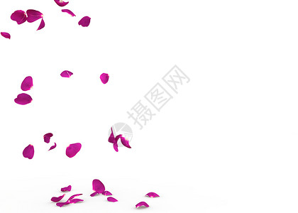 紫玫瑰花瓣落到地板图片