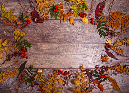 木制背景上的五颜六色的树叶和秋天的花朵秋天的概念图片