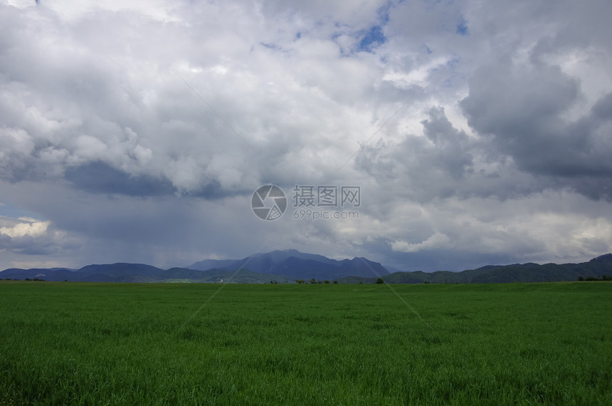 带法加拉斯山脉的绿草地背景多云的天空喀尔巴阡山罗图片