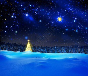 圣诞树上的灯光在星空背景下被隔离图片