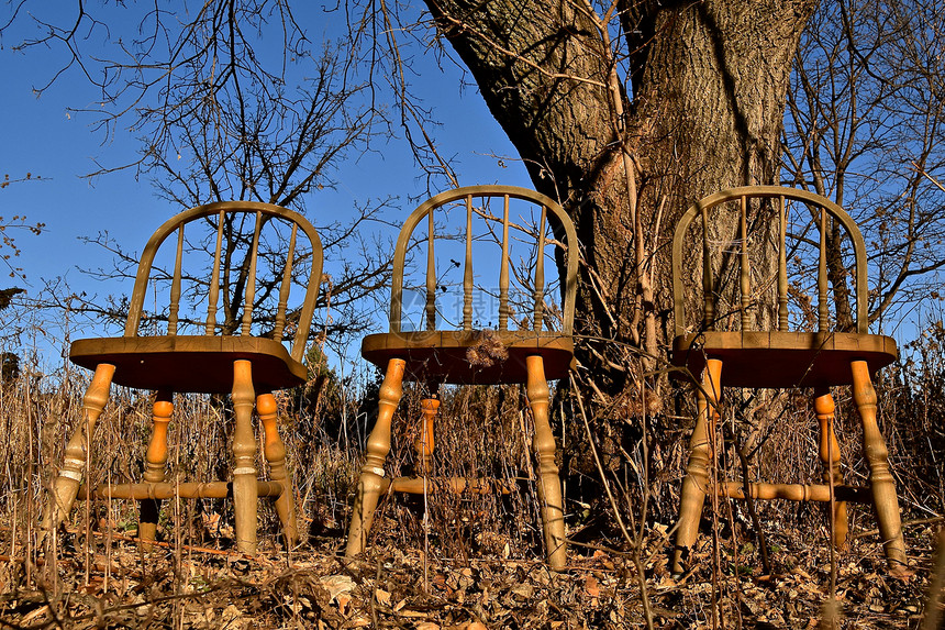 秋天三把旧木制温莎椅子坐在一片叶子图片
