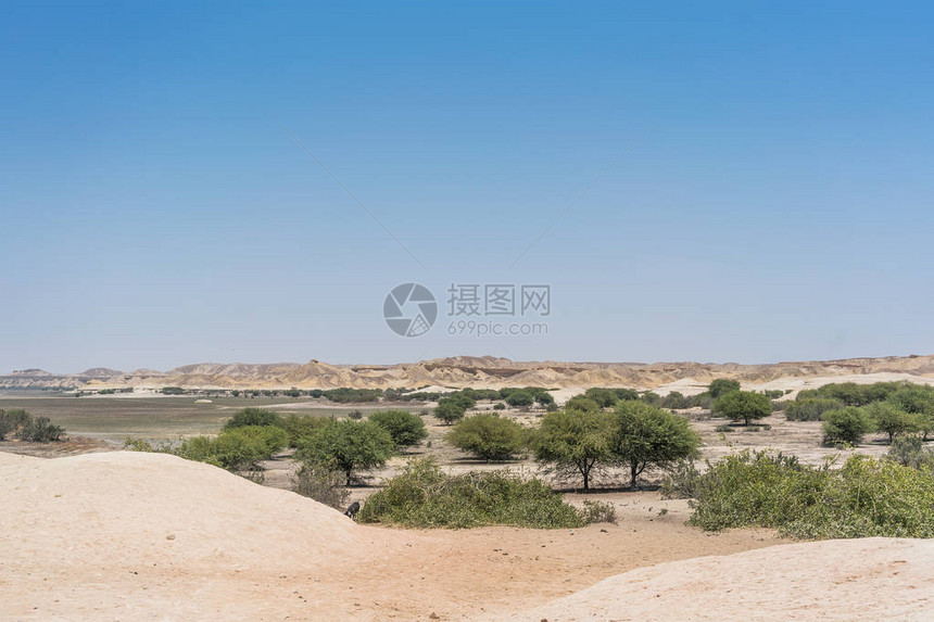 纳米贝沙漠的干图片