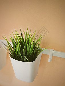白色垃圾桶挂在墙上的人造绿色植物或人工草图片