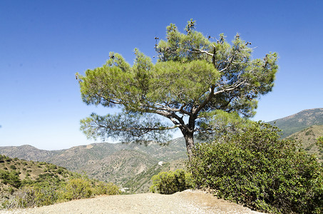 塞浦路斯道路自然图片