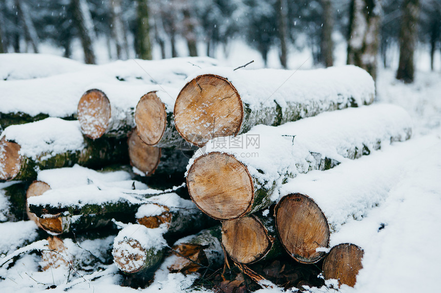 冬天积雪的柴火堆图片