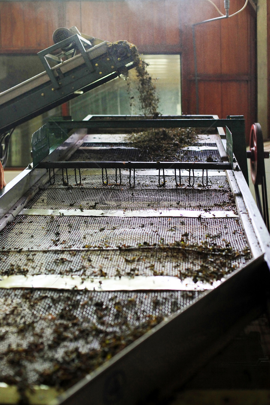 斯里兰卡的锡兰茶厂图片