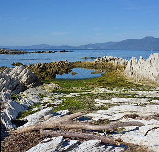 凯库拉半岛在2016年11月的一次大地震中抬高了125米一年后背景