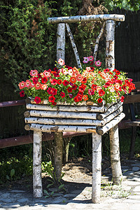 红花朵装在一张用白树木制成的图片