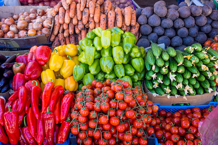 各种多彩的生菜蔬食品图片