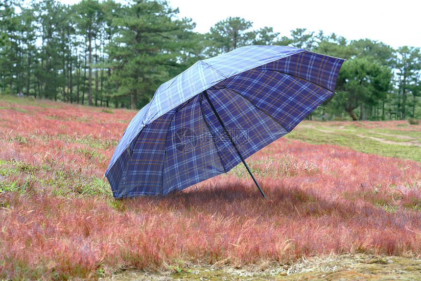 草地山上的雨伞是寒冷高地上温暖的冬季图片