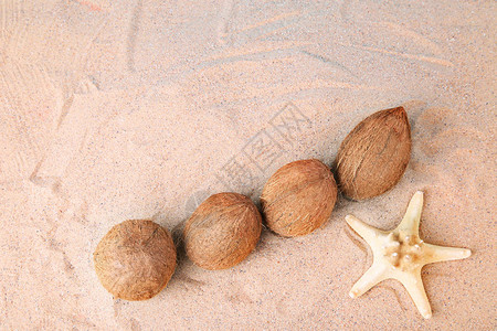 沙滩上的海星椰子图片