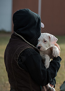 人肩上扛着一只白色小狗图片