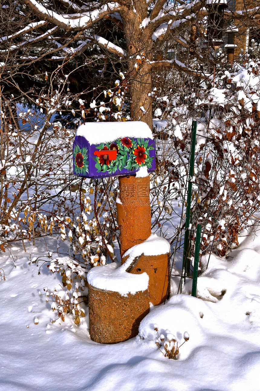 一个彩色的邮箱部分被雪覆盖在树木杂图片
