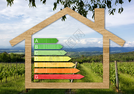 自然背景下房屋形状内的木质能源效率认证符号图片