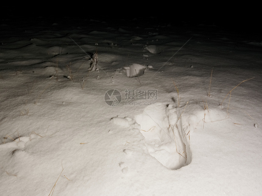 粉雪中的脚印冻草覆盖着霜漆黑寒冷的夜晚在冬夜图片