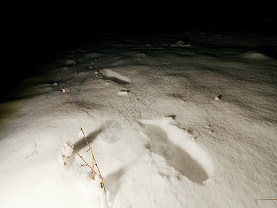 白雪皑的草地上的脚印图片
