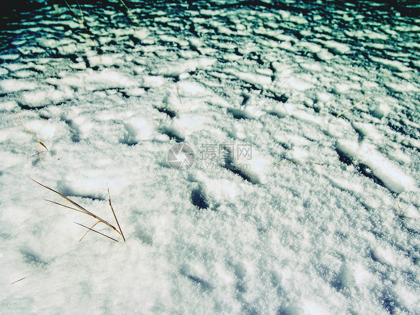 白雪皑的草地上的脚印图片