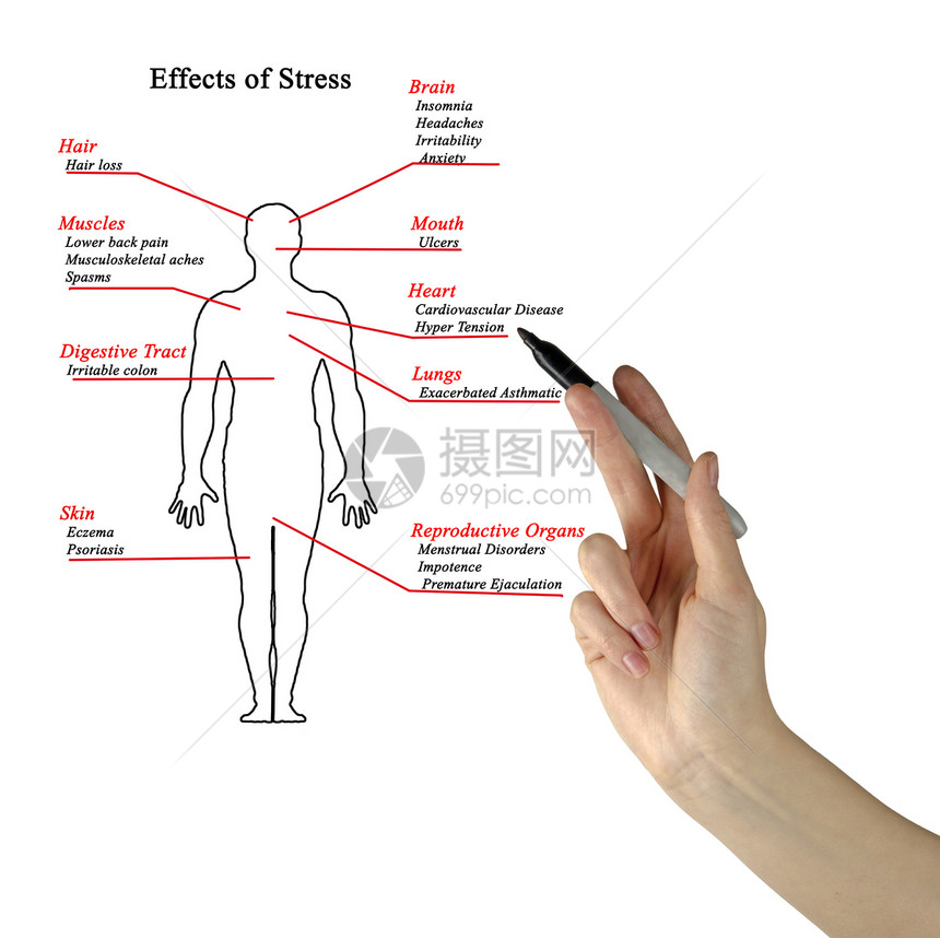 女呈现压力的影响图片