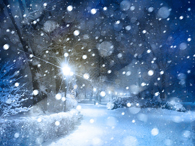 美丽的冬夜雪域公园图片