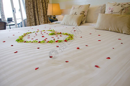 赫维德罗斯酒店浪漫奢华酒店罗斯在床上背景