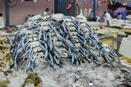 供迪拜Deira鱼市场图片