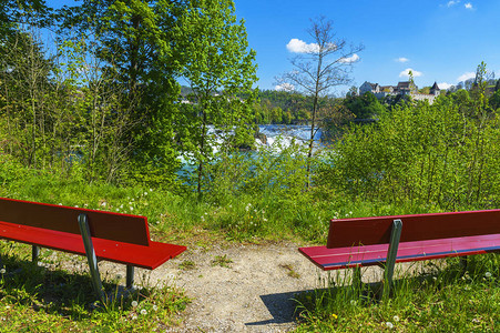 可欣赏莱茵瀑布景观的长椅图片