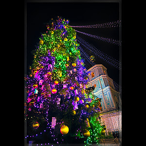 在基辅Sofievskaya广场圣诞松树装饰图片