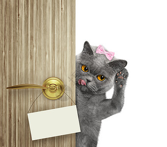 快乐的猫从门后偷看孤立图片