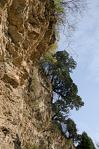 山上房山背景