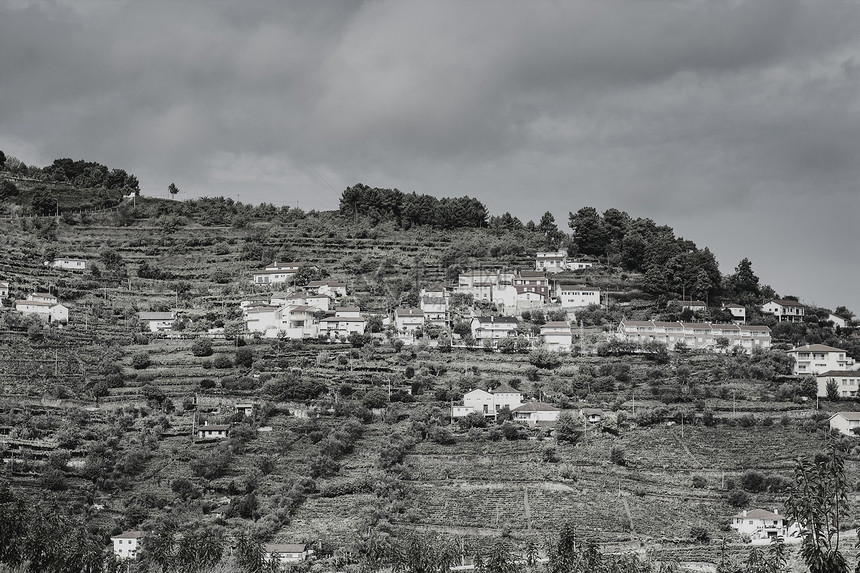 葡萄牙杜罗河地区的葡萄园葡萄牙村庄的葡萄栽图片