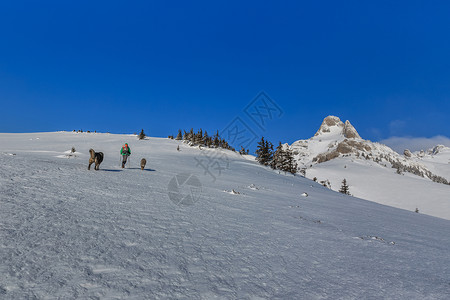 冬季攀登山峰罗马尼图片
